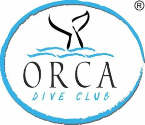 Orca Logo